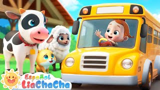 Las Ruedas del Autobús  Versión Animales de Granja 2  LiaChaCha en Español  Canciones Infantiles [upl. by Amaleta]