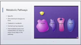 Microbiology Chapter 6 Part 1 [upl. by Fairfax825]