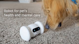 Robot for Pets health and mental care [upl. by Nytsud189]