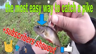 THE MOST EASY WAY TO CATCH THE PIKE  catch pike on live bait [upl. by Elletnahc]