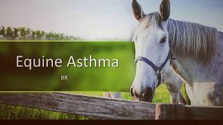 Equine Asthma [upl. by Aerda]