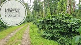 8 acre 6 Guntakal property for sale   in Chikmagalur mudigere for more info call 8431809915 [upl. by Cyrille801]