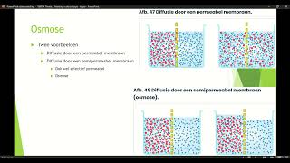 Klas 4 VWO Thema 1 Inleiding in de biologie basisstof 5 Transport door membranen deel 2 [upl. by Ninos]