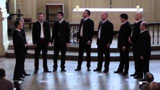 Klapa Motovun performing Vilo moja [upl. by Nive905]