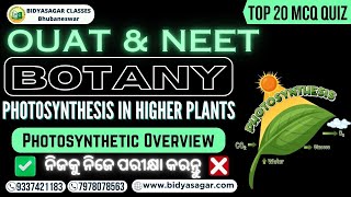 PHOTOSYNTHESIS IN HIGHER PLANTS MCQ  Photosynthetic Overview MCQ  NEET Biology MCQ [upl. by Delacourt]