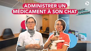 Comment administrer un médicament à son chat  🐱 [upl. by Nicol910]