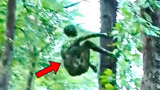 Hikers Find Strange Creature Climbing A Tree They Call 911 After Realizing What It Is [upl. by Melena]