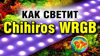 Как светит Chihiros WRGB [upl. by Enelrats]