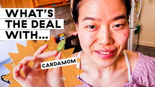 Why Cardamom Should Be In Your Pantry  The Spice Show  Delish [upl. by Nosredneh]