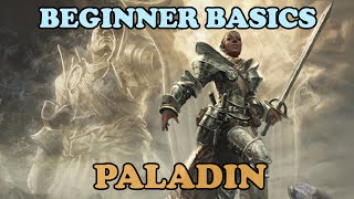 DDO Beginner Basics The Paladin Class [upl. by Annad]