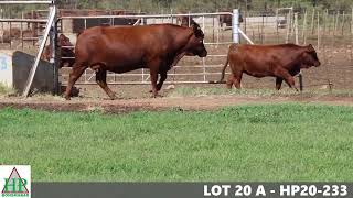 LOT 20 A HP20 233 [upl. by Lonny]