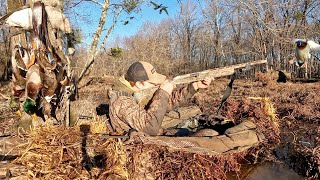 Duck Hunting Virginia  Solo Kayak Swamp Hunt HYBRID [upl. by Aical]