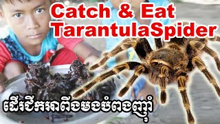 Eating spiders ដើរជីកអាពីងមកបំពង​ Catch and cook Fried Tarantulas [upl. by Verlie958]