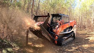 EXPLODING WHOLE TREES LIKE CONFETTI Rut Disc Mulcher VS Drum Mulcher Which Is Better [upl. by Aldarcy]