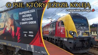 184🐩EU160015 w okleinie quotO psie który jeździł kolejąquot  zapowiedź  BONUS [upl. by Ajssatan56]