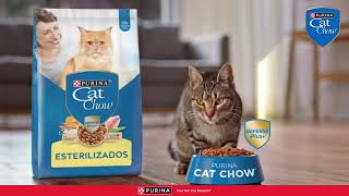 ¿Ya conoces Purina® Cat Chow® Esterilizados [upl. by Bently327]