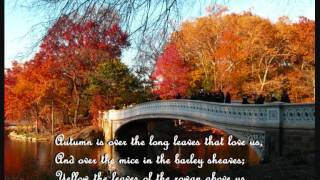 The Falling of the Leaves by William Butler Yeats [upl. by Damita44]