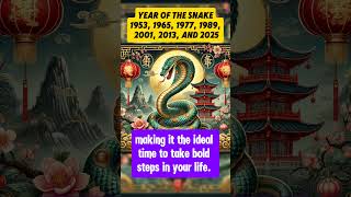 Year of the Snake [upl. by Gemmell]