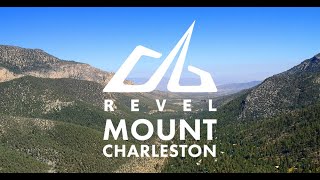 2022 REVEL Mt Charleston Marathon Highlights [upl. by Kirred]