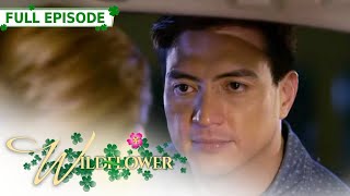 ENG SUB Ep 235  Wildflower  Maja Salvador Tirso Cruz III Aiko Melendez [upl. by Ahsinal]