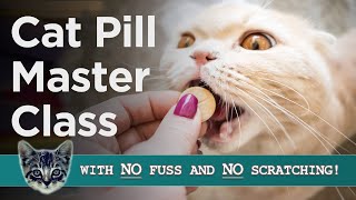 Pilling Your Cat StressFree Techniques For FussFree Feline Medication [upl. by Zannini]