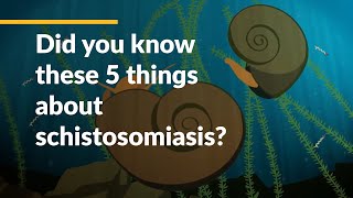 Did you know these 5 things about schistosomiasis [upl. by Genia92]