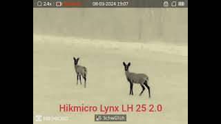 Hikmicro Lynx LH 25 20 [upl. by Nehtiek]