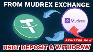 Mudrex Best Crypto Exchange Buy USDT Using UPI  How To Deposit amp Transfer Crypto Mudrex Exchange [upl. by Ahsiakal683]