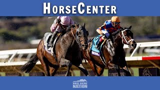 Eclipse Awards after Breeders Cup 2024 on HorseCenter [upl. by Orlando]