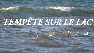 TEMPÊTE SUR LE LAC LÉMAN [upl. by Lamak]