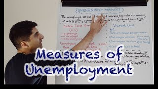 Y1 20 How is Unemployment Measured  Labour Force Survey LFS [upl. by Reywas]