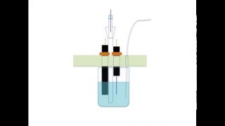 Voltammetric Electrodes [upl. by Ilahtan571]