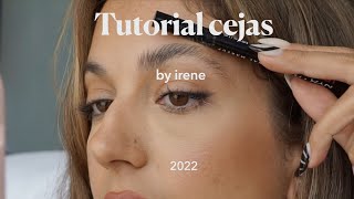 CEJAS PERFECTAS PASO A PASO PRINCIPIANTES  Cejas orgánicas tutorial con jabón 🧼 [upl. by Narut]