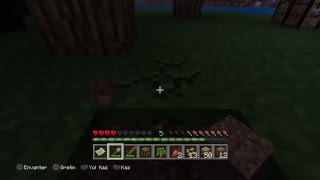 Minecraft  Peşduların Sefaleti [upl. by Warila]