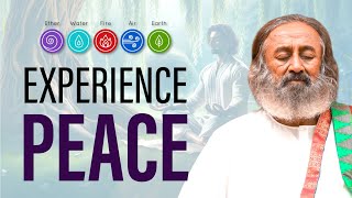 Guided Meditation on 5 Elements  Gurudev [upl. by Eelrahc]