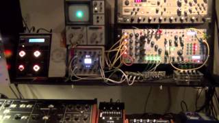 Buchla and Flame 4 Vox  Portamento Organ [upl. by Dlanor]