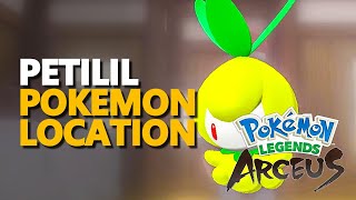 Petilil Pokemon Legends Arceus Location [upl. by Adaurd311]