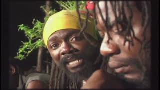 Louie Culture  Too Much Pressure On The Donkey Back  Official Music Video  Reggae Gold 2021 [upl. by Cherianne]