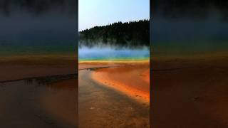 Yellowstones Mesmerizing Hot Spring shorts nationalpark hotsprings yellowstonenationalpark [upl. by Ibrad]