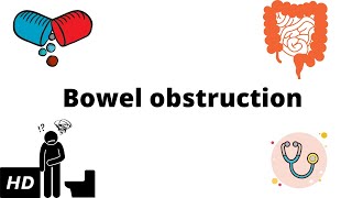 Bowel Obstruction Causes Signs and Symptoms Diagnosis and Treatment [upl. by Aneehsor650]