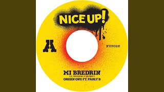 Mi Bredrin feat Parly B [upl. by Kcirdneked]