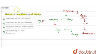 Haploids are used for research because [upl. by Ahse]