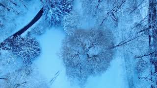 4K Landscape Winter Aachen  DJI Mavic Air [upl. by Erdnaek872]