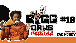 Big Dawg Freestyle 18 Feat Tae Money iheartradio detroit wjlb [upl. by Kevon]