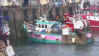 Bretagne port le Guilvinec retour des chalutiers et déchargement du poisson [upl. by Idnod]