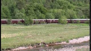 37401 Royal Scotsman 2001 [upl. by Heiskell]