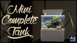 Das kleinste Aquarium der Welt  AquaOwner [upl. by Aleek]