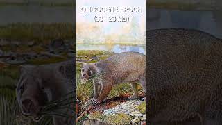 SERIOUSLY What is an EPOCH  Geologic Time Pt 4  Beginners Guide to Palaeontology [upl. by Susanna]