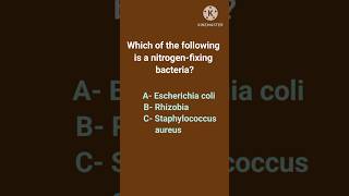 Nitrogen fixing bacteria Microbiology quiz youtubeshorts biology microbiology shorts [upl. by Battista990]