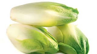 Endive Cichorium endivia is a vegetable very beneficial [upl. by Silden]